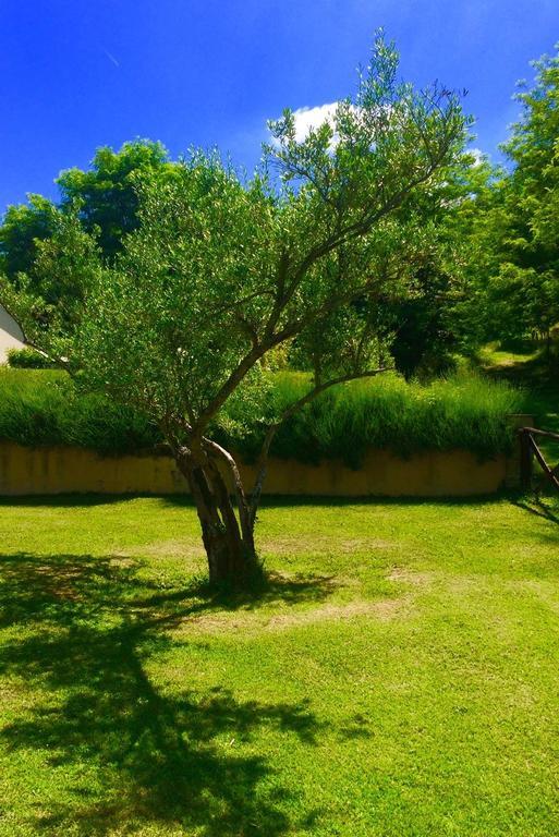 Agriturismo Acero Rosso Civitella di Romagna Екстериор снимка